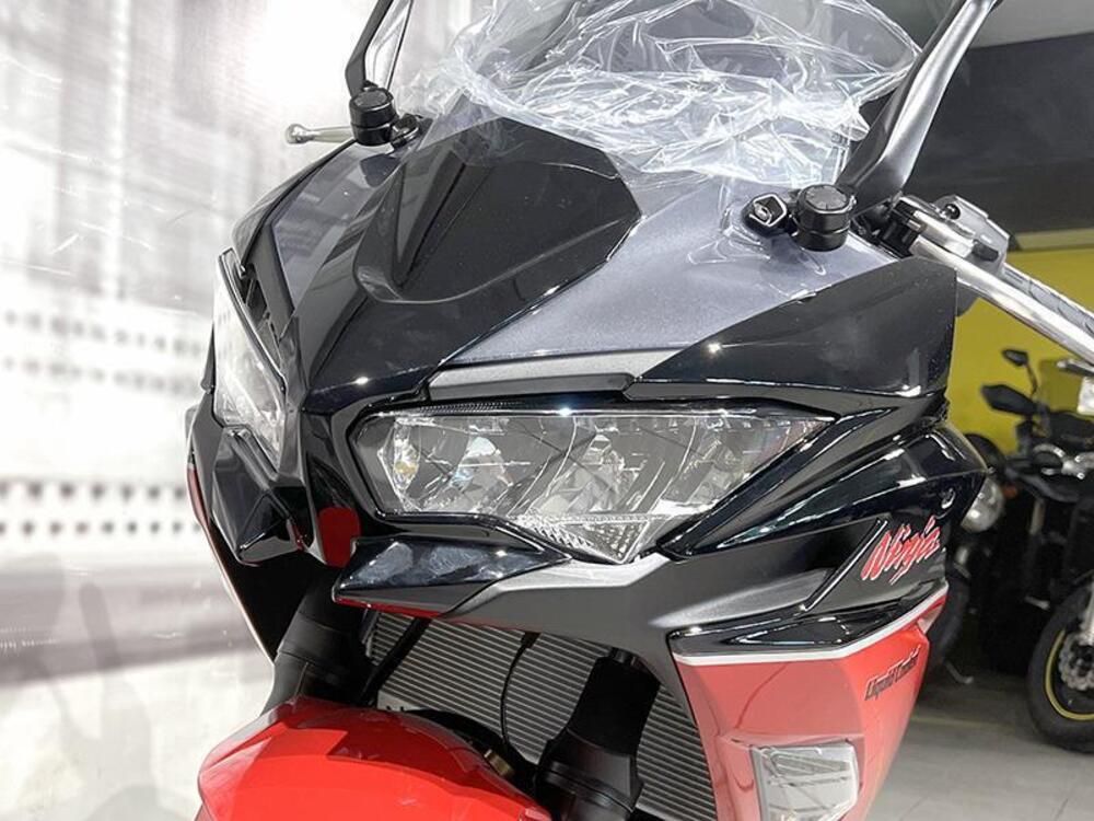 Kawasaki Ninja 650 40th Anniversary Edition (2024) (3)