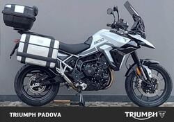 Triumph Tiger 900 GT Pro (2024 - 25) usata