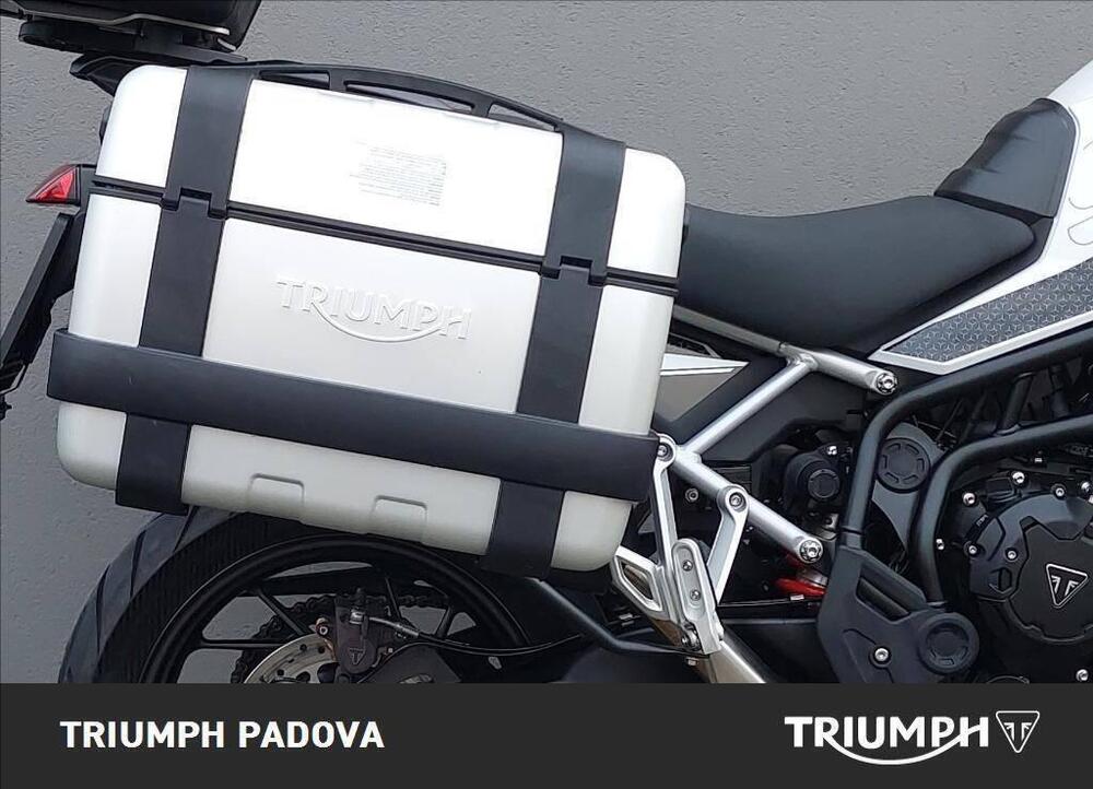 Triumph Tiger 900 GT Pro (2024 - 25) (2)