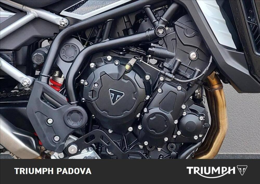 Triumph Tiger 900 GT Pro (2024 - 25) (3)