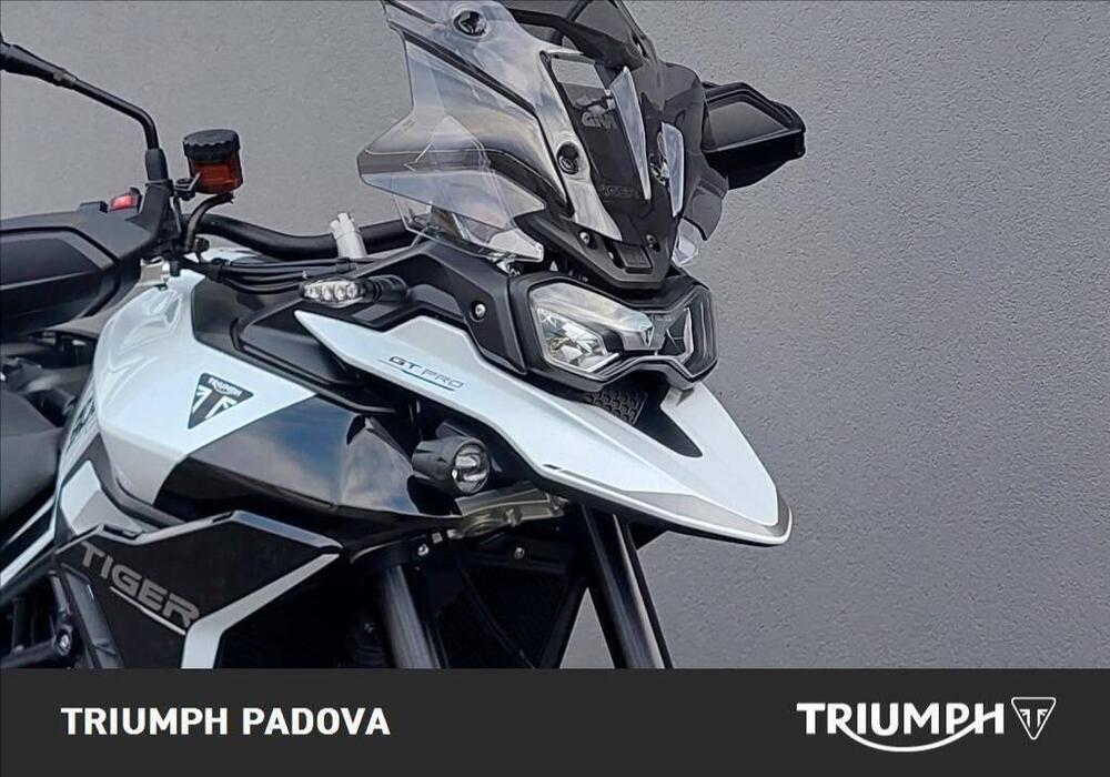 Triumph Tiger 900 GT Pro (2024 - 25) (5)