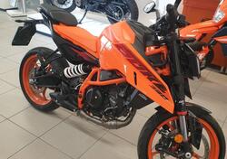 KTM 390 Duke (2024 - 25) usata