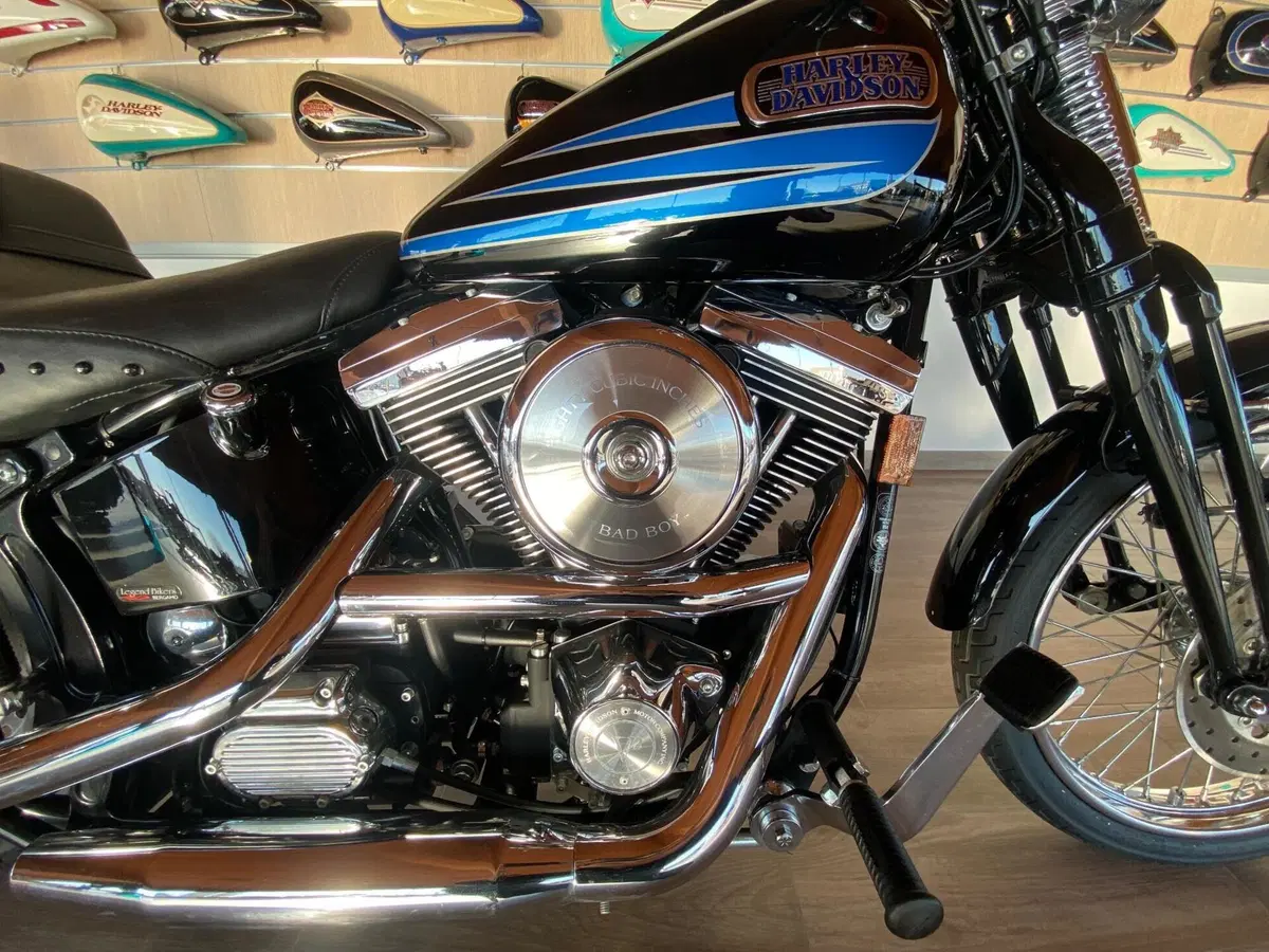 Harley-Davidson 1340 Bad Boy (1995 - 99) (3)