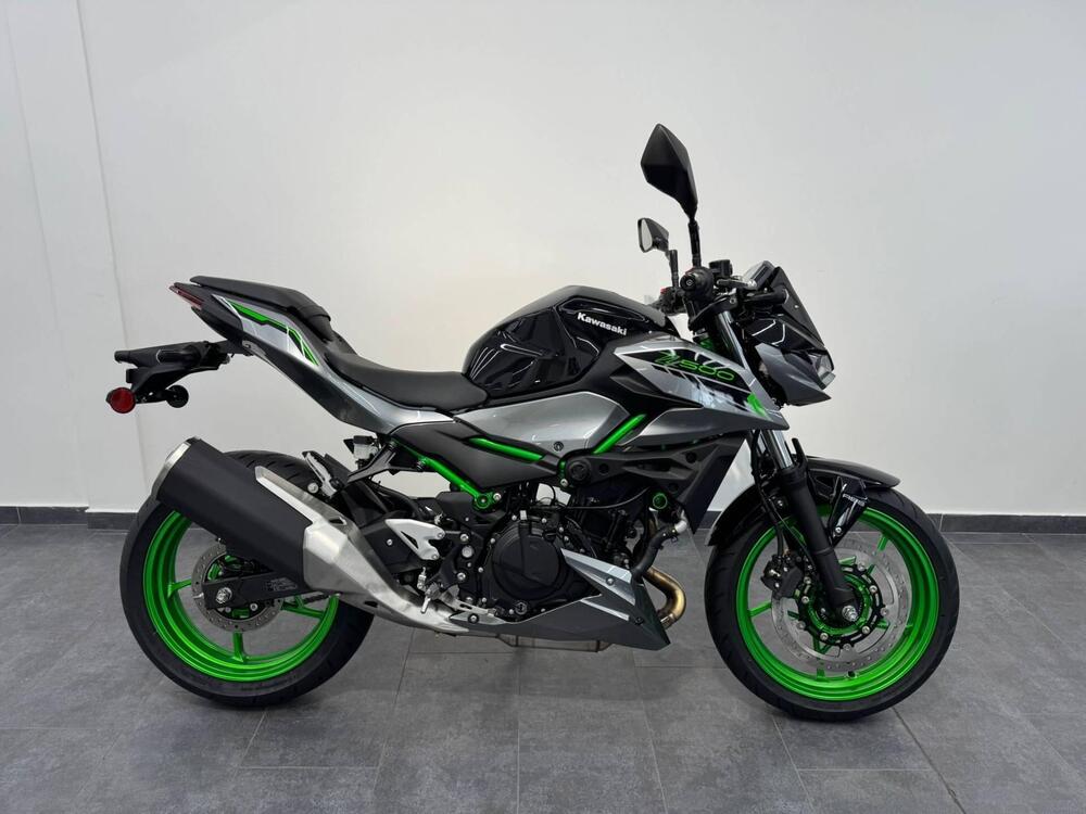 Kawasaki Z 500 SE (2024 - 25) (2)