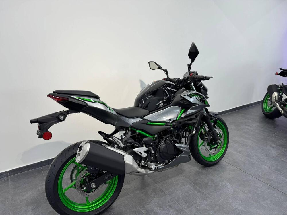 Kawasaki Z 500 SE (2024 - 25) (4)