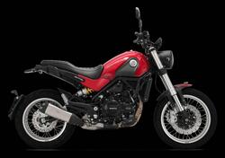 Benelli Leoncino 500 Trail (2021 - 25) usata