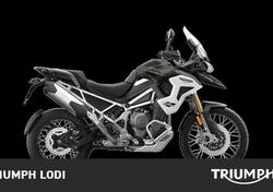 Triumph Tiger 1200 Rally Pro (2024 - 25) nuova