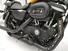 Harley-Davidson 883 Iron (2009 - 11) - XL 883N (10)