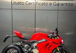 Ducati Panigale V4 S (2022 - 24) usata