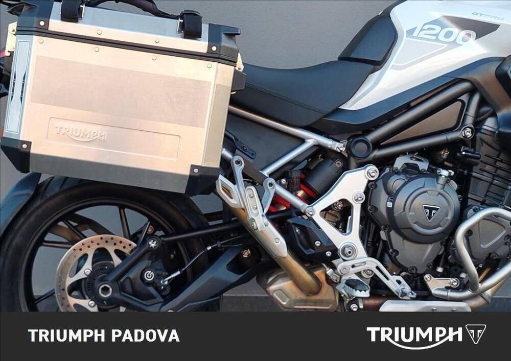 Triumph Tiger 1200 GT Pro (2022 - 23) (2)