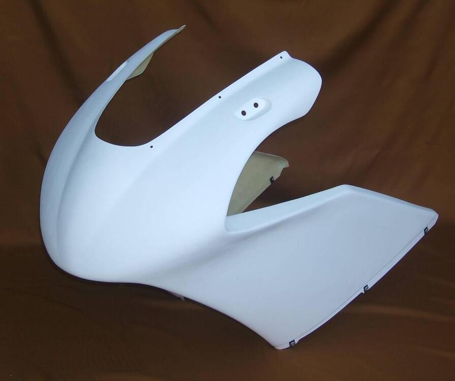 Carena Tyga Performance Suzuki RGV 250