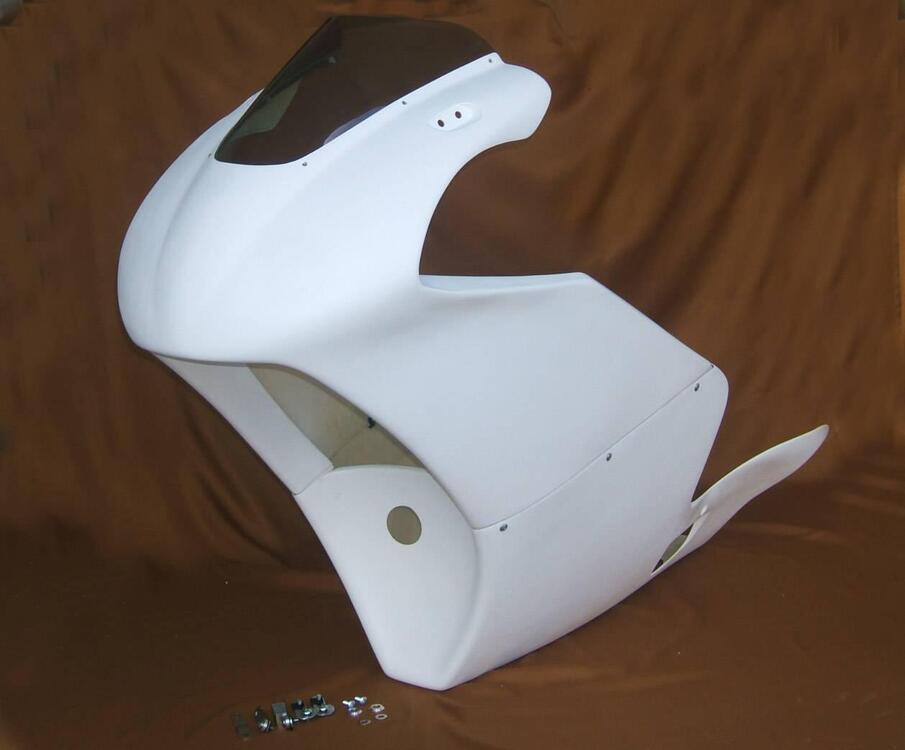 Carena Tyga Performance Suzuki RGV 250 (3)