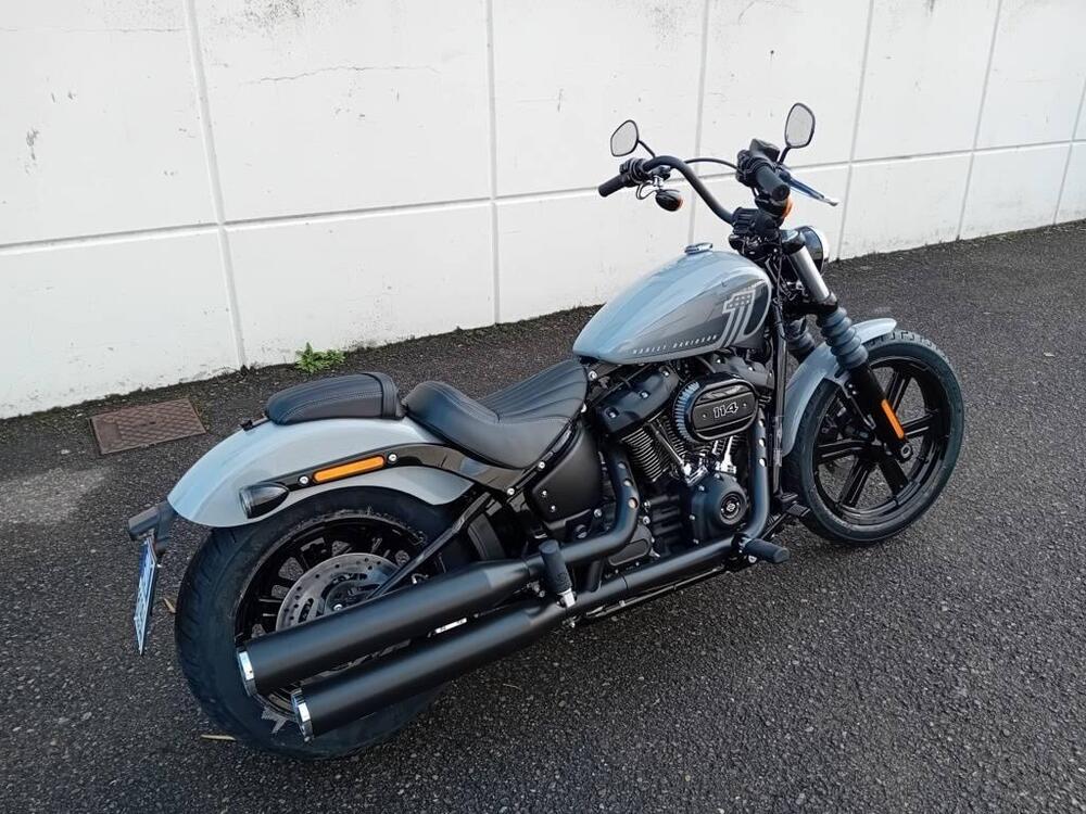 Harley-Davidson Street Bob 114 (2021 - 25) (4)