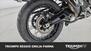 Triumph Tiger 900 Rally Pro (2020 - 23) (19)