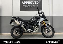 Triumph Tiger 900 Rally Pro (2024 - 25) usata