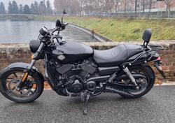 Harley-Davidson 750 Street (2014 - 16) - XG 750 usata