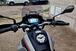 Moto Guzzi V85 TT Travel (2021 - 23) (6)