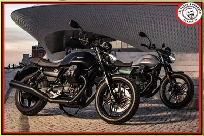Moto Guzzi V7 Stone (2021 - 24) nuova