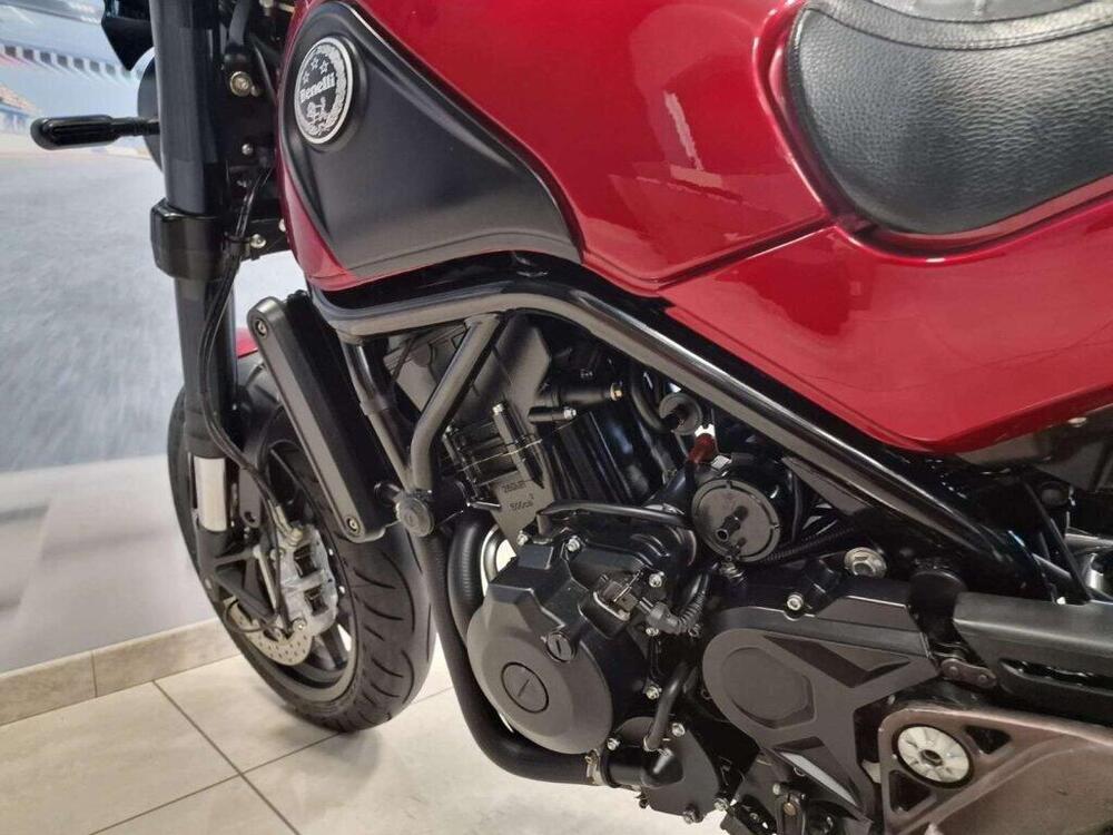 Benelli Leoncino 500 ABS (2017 - 20) (5)