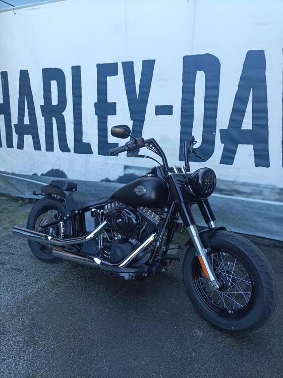 Harley-Davidson 1690 Slim (2011 - 16) - FLS (2)