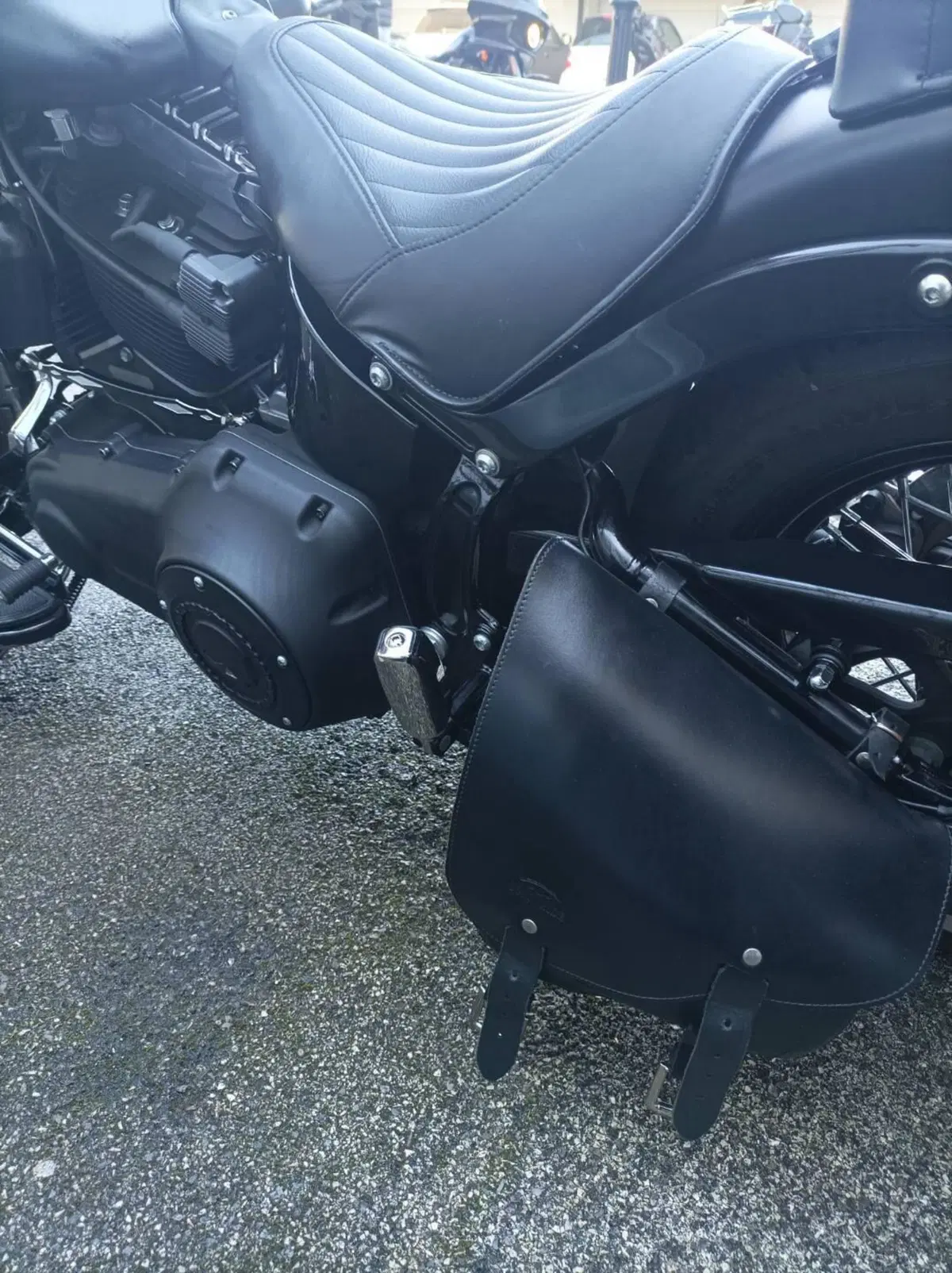 Harley-Davidson 1690 Slim (2011 - 16) - FLS (7)