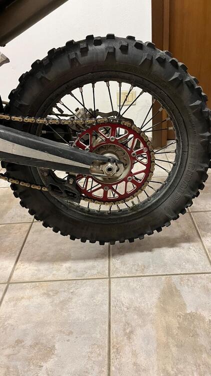 Betamotor Xtrainer 300 2t (2015 - 16) (5)