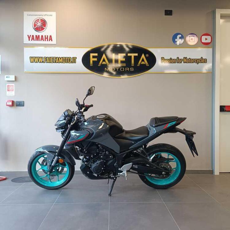 Yamaha MT-03 (2022 - 25)