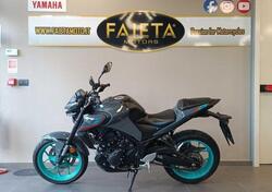 Yamaha MT-03 (2022 - 25) usata