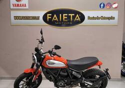 Ducati Scrambler 800 Icon (2017 - 20) usata