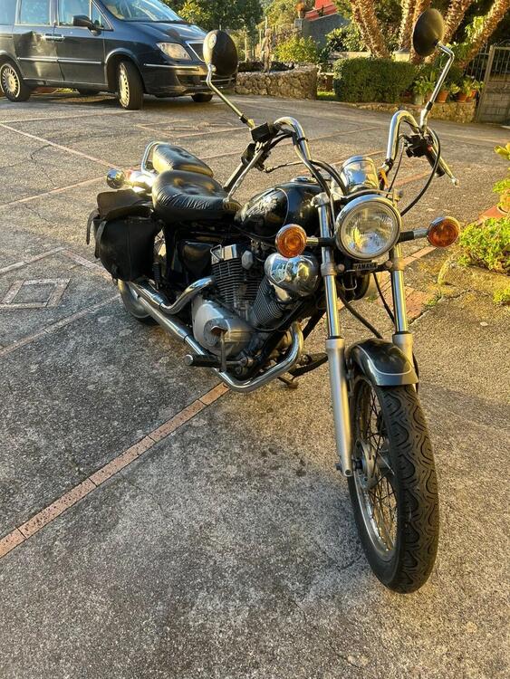 Yamaha XV 535 DX Virago (1998 - 04)