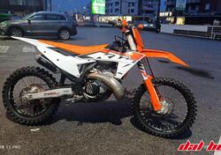 KTM SX 300 (2023) usata