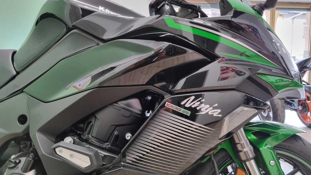 Kawasaki Ninja 1000 SX Performance (2021 - 24) (5)