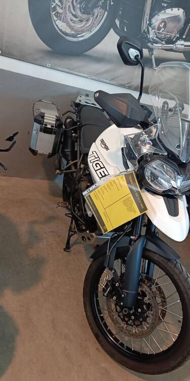 Triumph Tiger 800 XCa (2018 - 20) (4)