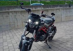 Benelli Tornado Naked T 125 (2021) usata