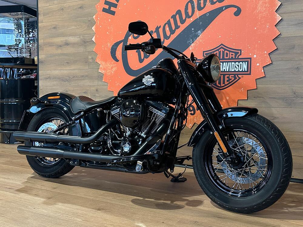 Harley-Davidson 1690 Slim (2017) - FLS (3)