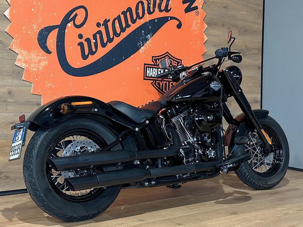 Harley-Davidson 1690 Slim (2017) - FLS (4)