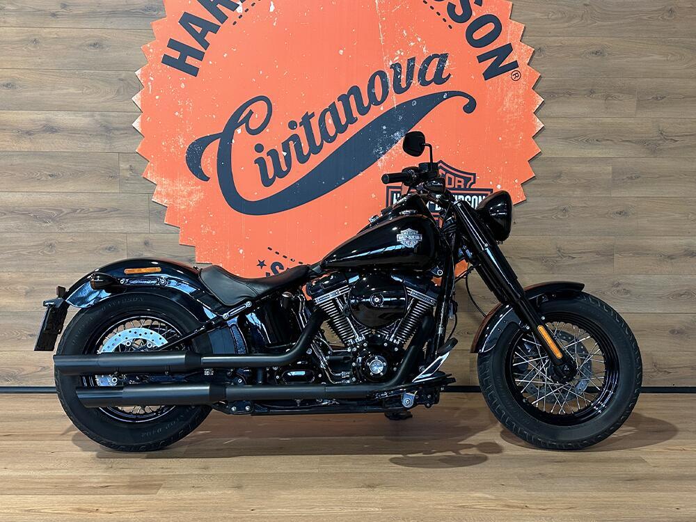 Harley-Davidson 1690 Slim (2017) - FLS (2)