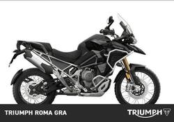 Triumph Tiger 1200 Rally Explorer (2024 - 25) usata