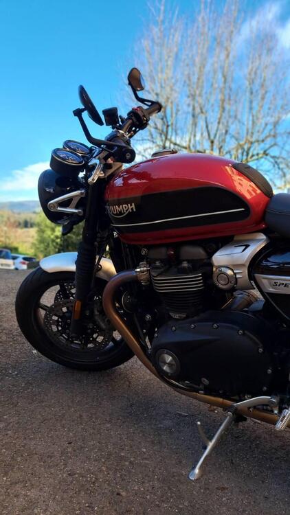 Triumph Speed Twin 1200 (2019 - 20) (5)