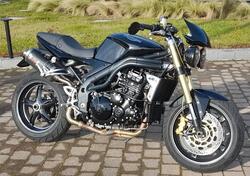 Triumph Speed Triple 1050 (2005 - 11) usata