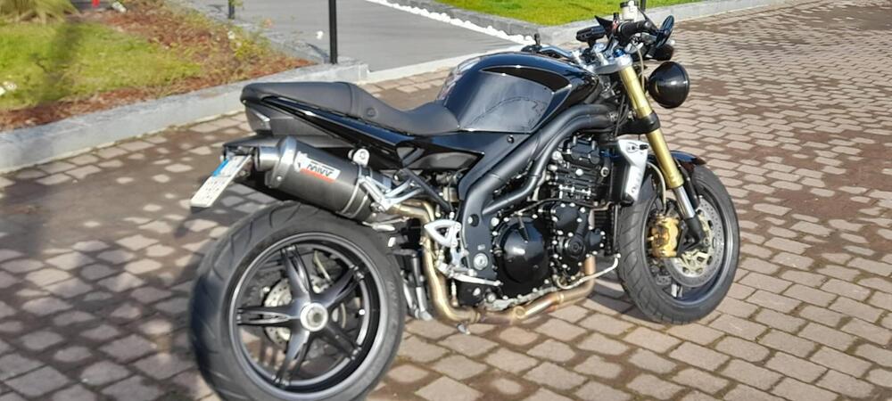 Triumph Speed Triple 1050 (2005 - 11) (2)