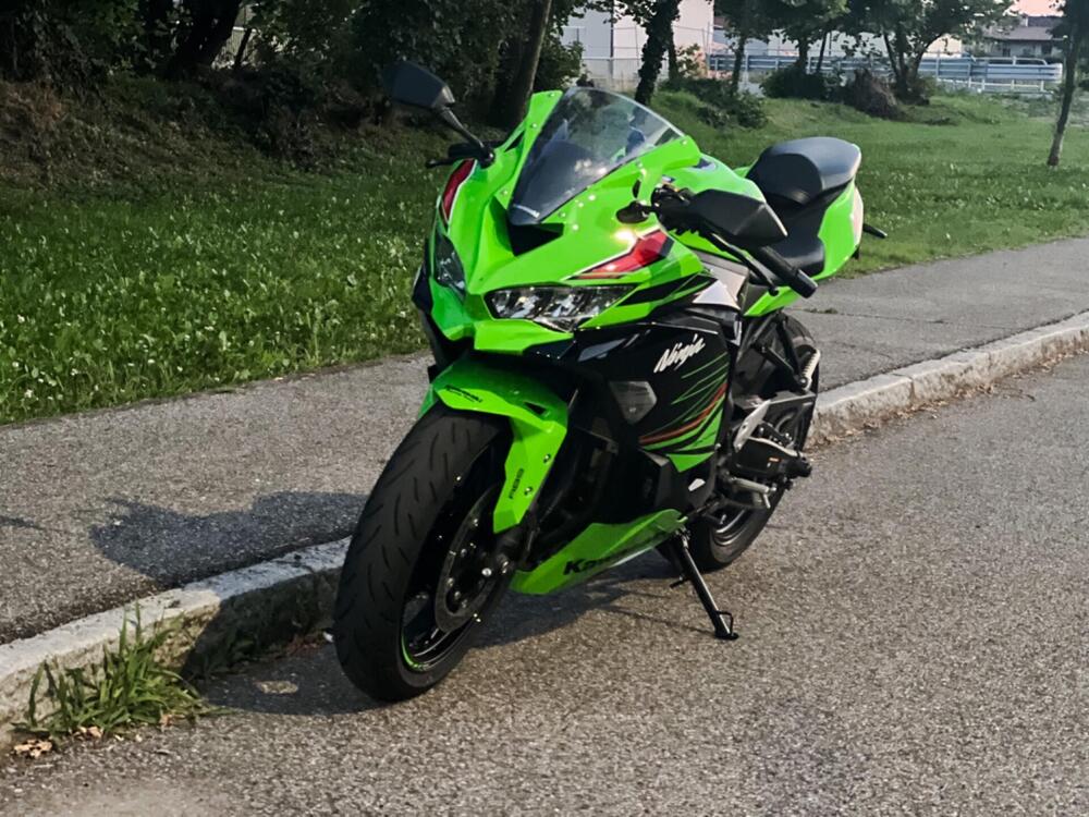 Kawasaki Ninja ZX-4RR (2024 - 25) (2)