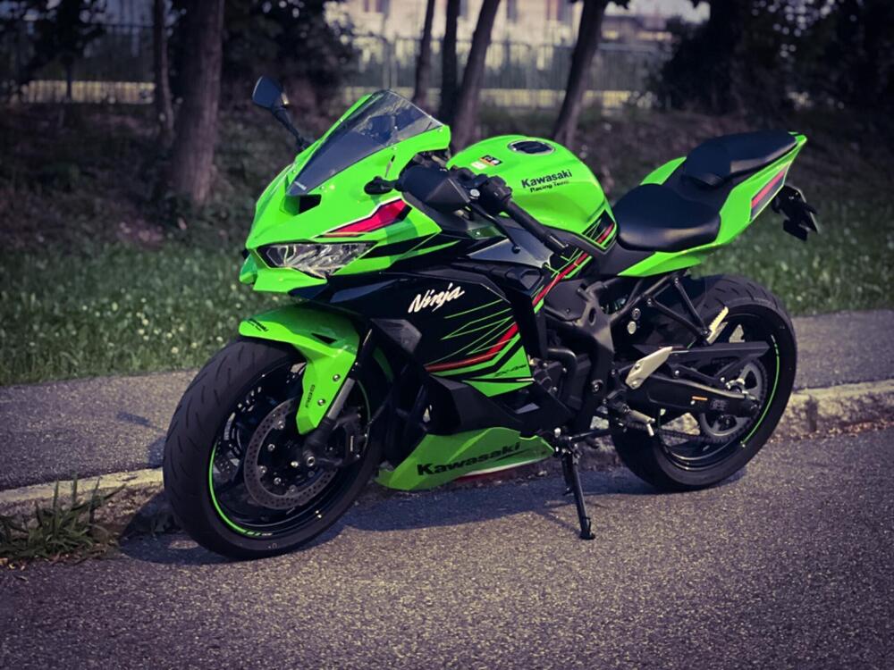 Kawasaki Ninja ZX-4RR (2024 - 25)