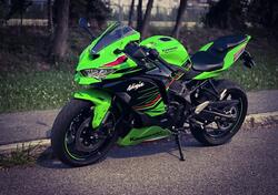 Kawasaki Ninja ZX-4RR (2024 - 25) usata