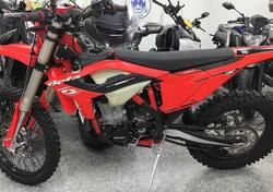 Betamotor RR 390 4T Enduro (2023) usata