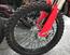 Betamotor RR 390 4T Enduro (2023) (14)