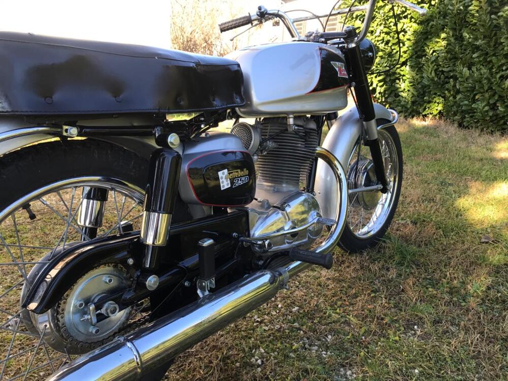 Moto Morini 250 SETTEBELLO  (4)