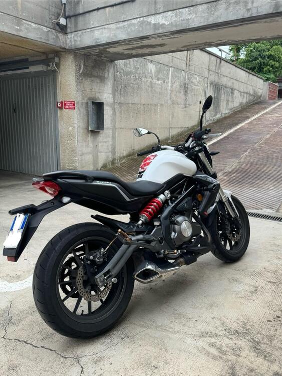 Benelli BN 302 (2014 - 16) (2)