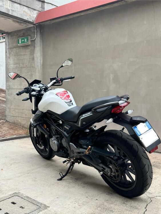 Benelli BN 302 (2014 - 16) (5)