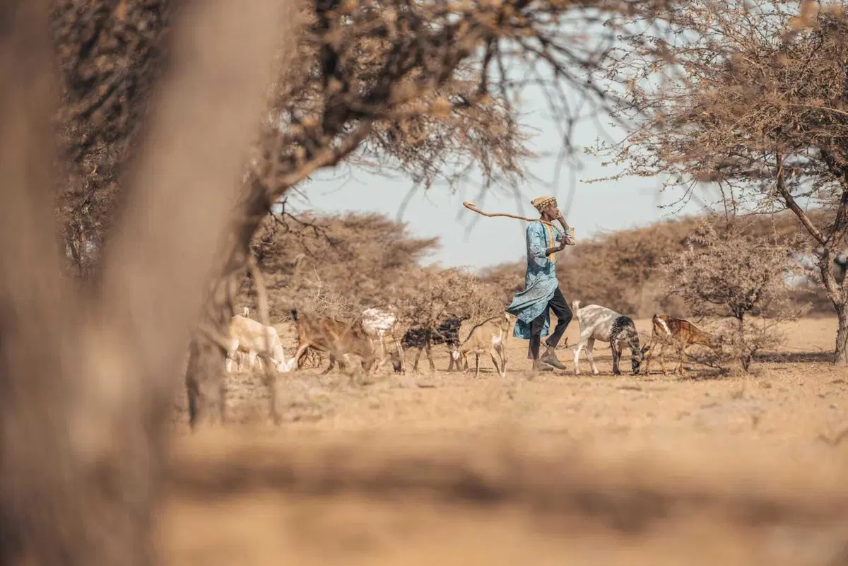 Africa Eco Race 2025. La grande sfida Cerutti-Botturi